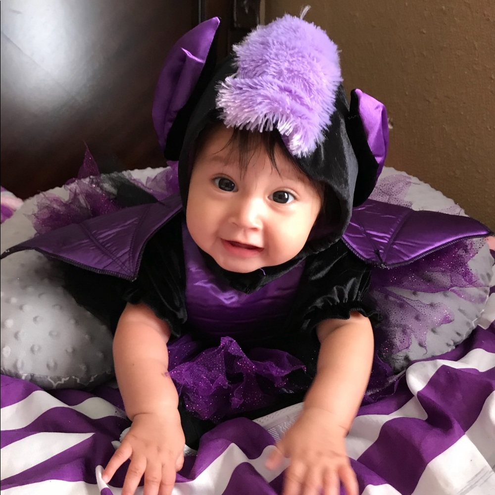 little adorable bat 🦇 🥰